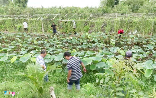 loi khai nghi pham mau lanh sat hai lai xe om bang 27 nhat dao hinh anh 1