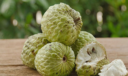Chữa những bệnh phổ biến bằng quả na: Chuyên gia Đông y sẽ chỉ cho bạn tường tận