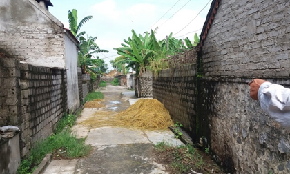 Nghi án giết con trai 2 tuổi rồi uống thuốc sâu tự tử: Người mẹ đã tử vong
