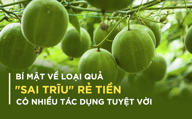 qua-la-han