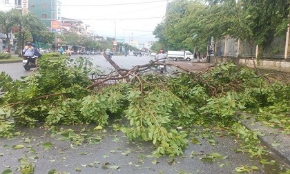 Huế: Cây đổ ngổn ngang, 2 người chết và mất tích do bão số 10