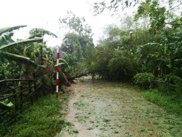 anh bao so 10 do bo: gio bao thoi bay nguoi di duong, nhieu noi chim sau trong nuoc - 13