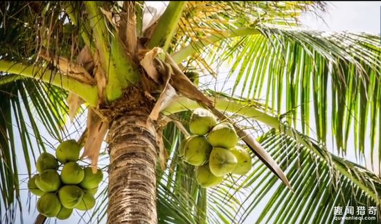Những công việc kì quặc lại có mức lương cao không tưởng - 1