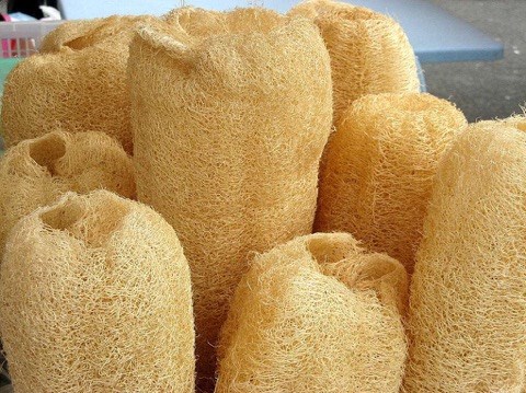8x thành triệu phú nhờ sáng kiến khi rửa bát thuê - 5