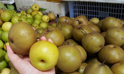 Đây là nguyên nhân vì sao bạn nên mua quả mắc cọp cho cả gia đình ăn ngay hôm nay