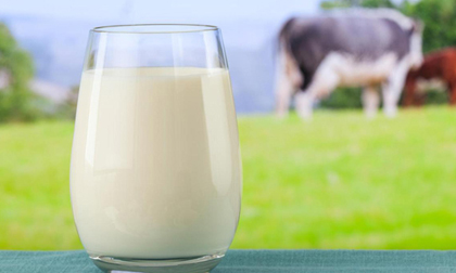 Những tác dụng thần kỳ của sữa ít người biết