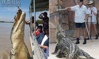 Thót tim trước những công việc nguy hiểm nhất hành tinh