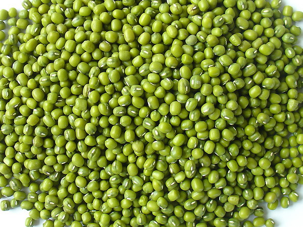 bai-thuoc-chua-benh-gout-1