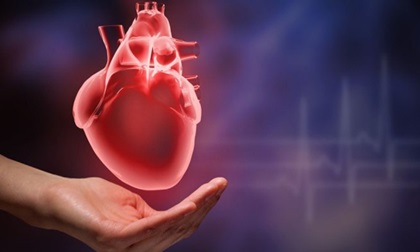 Dấu hiệu cảnh báo đau tim không nên bỏ qua