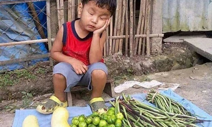 “Cậu bé thiên thần“ ngủ gật bên sạp rau của mẹ, ai nhìn cũng thương