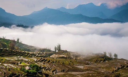 Vẻ đẹp ngỡ ngàng đại dương mây trắng trên đỉnh Tà Xùa