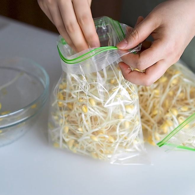 Chẳng ai ngờ cách đơn giản này lại giúp giá đỗ tươi ngon đến cả tuần - Ảnh 1. Chẳng ai ngờ cách đơn giản này lại giúp giá đỗ tươi ngon đến cả tuần - Ảnh 1.