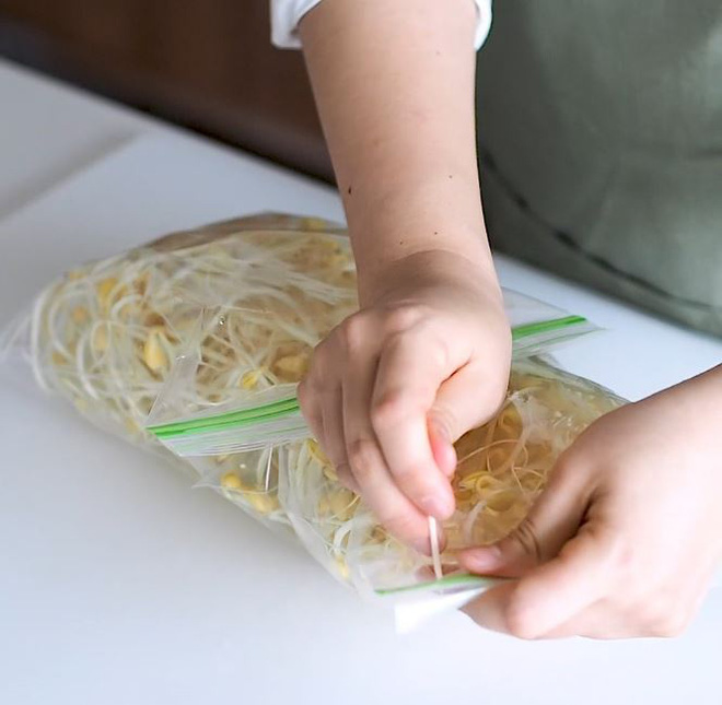 Chẳng ai ngờ cách đơn giản này lại giúp giá đỗ tươi ngon đến cả tuần - Ảnh 3. Chẳng ai ngờ cách đơn giản này lại giúp giá đỗ tươi ngon đến cả tuần - Ảnh 3.