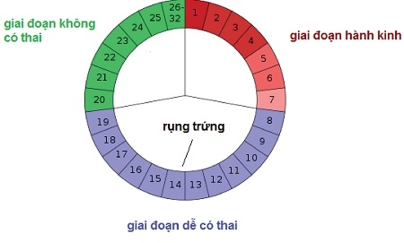 bi-quyet-sinh-con-trai-1710-4-xahoi.com.vn-w450-h271