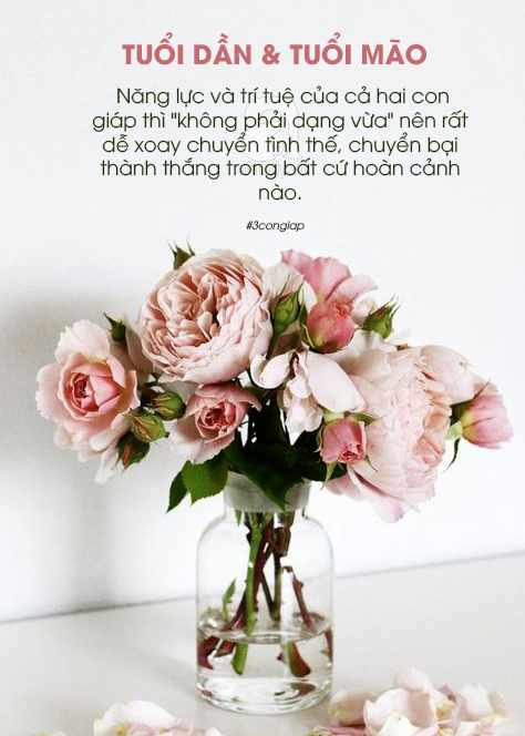 Kiểm tra xem, trong nhà mà có 3 cặp con giáp này thì gia môn hưng vượng, tam đại phú quý - Ảnh 3. Kiểm tra xem, trong nhà mà có 3 cặp con giáp này thì gia môn hưng vượng, tam đại phú quý - Ảnh 3.