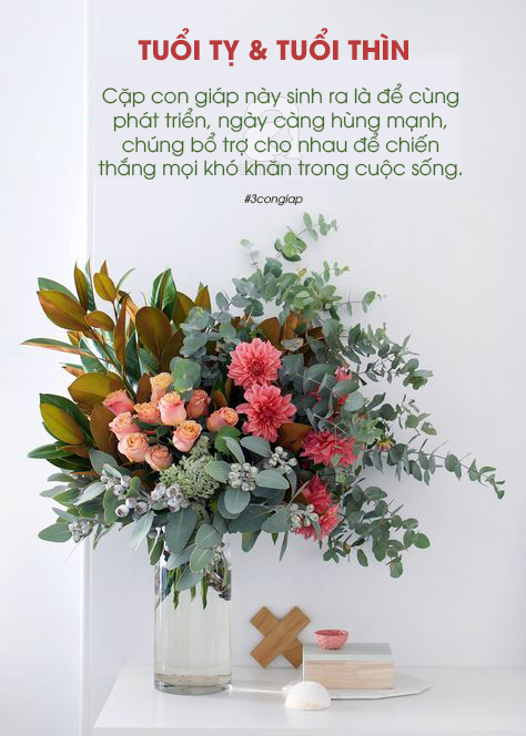 Kiểm tra xem, trong nhà mà có 3 cặp con giáp này thì gia môn hưng vượng, tam đại phú quý - Ảnh 1. Kiểm tra xem, trong nhà mà có 3 cặp con giáp này thì gia môn hưng vượng, tam đại phú quý - Ảnh 1.