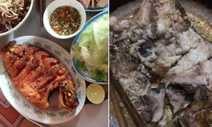 Cùng một chảo, chồng rán cá hóa phượng hoàng, vợ rán nát như 'đánh bom'