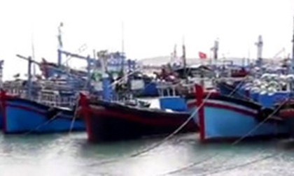 Điều tra vụ người chết bị dìm dưới biển bằng bê-tông