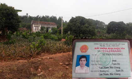 Kỳ án “giết mẹ” mù lòa vì 1,5 chỉ vàng ở Bắc Giang