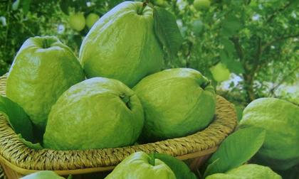 Những loại quả rẻ tiền nhưng là tiên dược ngừa ung thư giúp trường thọ và cả đời sống khỏe