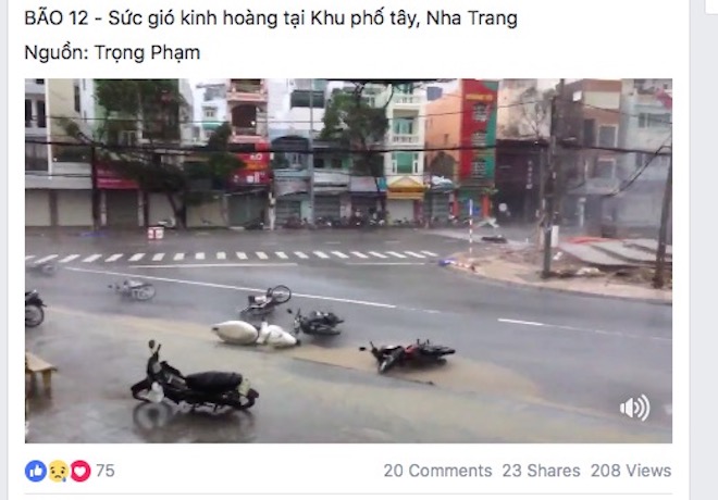 Dân mạng 