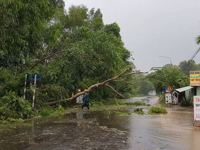 hau bao so 12: hue - quang nam ngap trong nuoc lu menh mong, nhieu khu vuc bi chia cat - 3