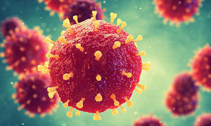 Tái xuất virus sốt xuất huyết hiếm, khủng khiếp như Ebola