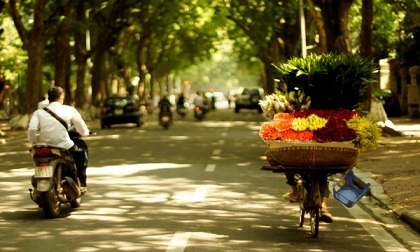 Dự báo thời tiết 12/11: Bão số 13 yếu dần, miền Bắc nắng dịu