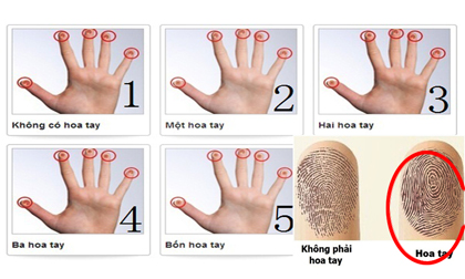 Xem số hoa tay biết ngay tính cách - bạn hãy xem tay mình có mấy hoa nhé!