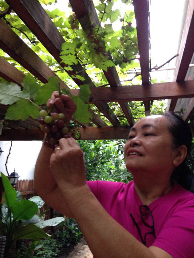 he lo nhung buc anh hiem hoi ve cuoc song gian di cua bo me tang thanh ha - 3
