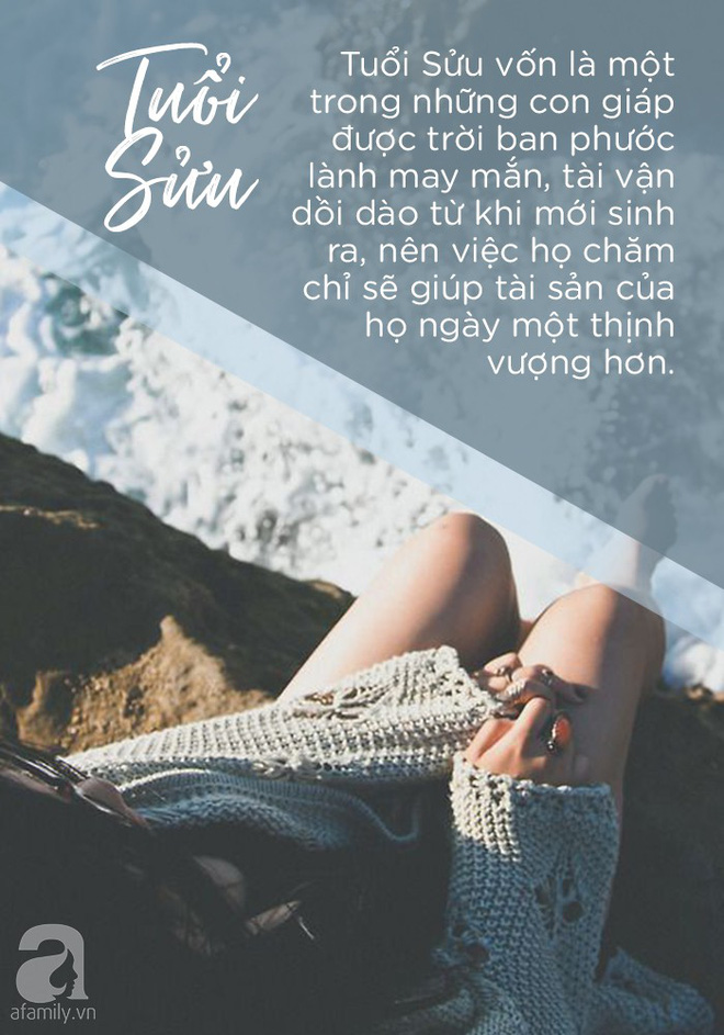 Trời sinh 3 con giáp nữ không những biết kiếm tiền, mà còn biết giữ tiền, chồng nào cưới được ấm no cả đời - Ảnh 1. Trời sinh 3 con giáp nữ không những biết kiếm tiền, mà còn biết giữ tiền, chồng nào cưới được ấm no cả đời - Ảnh 1.