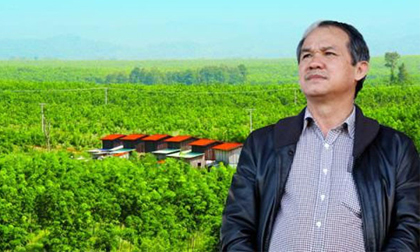 Bầu Đức trượt dài, túi tiền chỉ còn bằng 1/20 tỷ phú Phạm Nhật Vượng