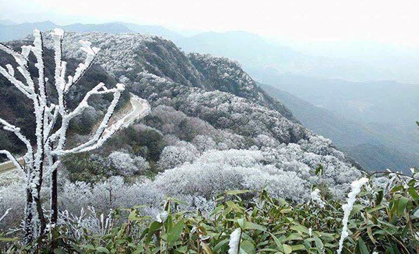 Cận cảnh đỉnh Phia Oắc, Cao Bằng chìm trong băng tuyết - 1