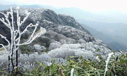 Cận cảnh đỉnh Phia Oắc, Cao Bằng chìm trong băng tuyết