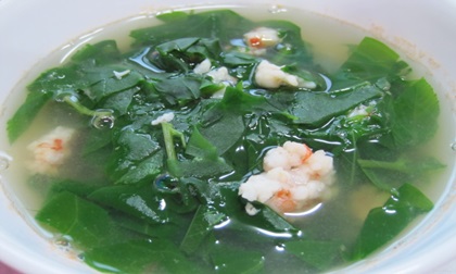 Ăn rau mồng tơi mà không biết điều này chắc chắn bạn sẽ hối hận cả đời