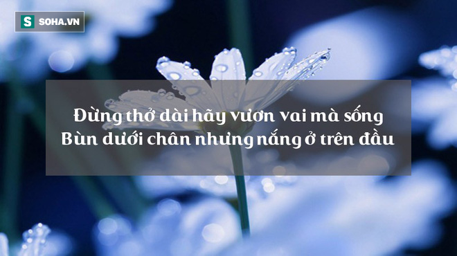 9 luật trời bất khả phá vỡ, lĩnh hội được cả đời sẽ an nhiên! - Ảnh 3.