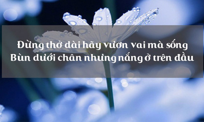 9 'luật trời' bất khả phá vỡ, lĩnh hội được cả đời sẽ an nhiên!