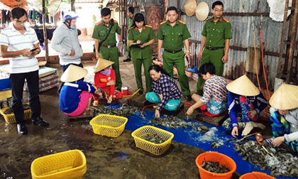 Khó dẹp nạn tôm bơm tạp chất vì lãi cao khủng khiếp như buôn ma túy