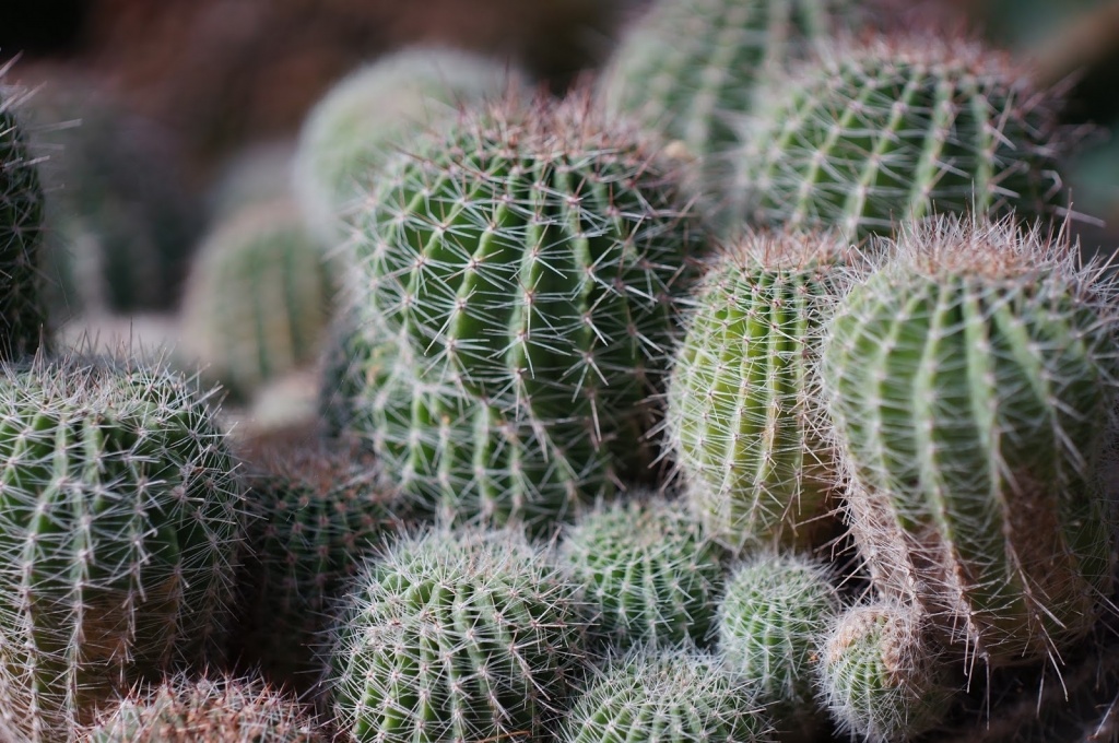 9 vat dung tuyet ki ve phong thuy khong nen giu trong nha