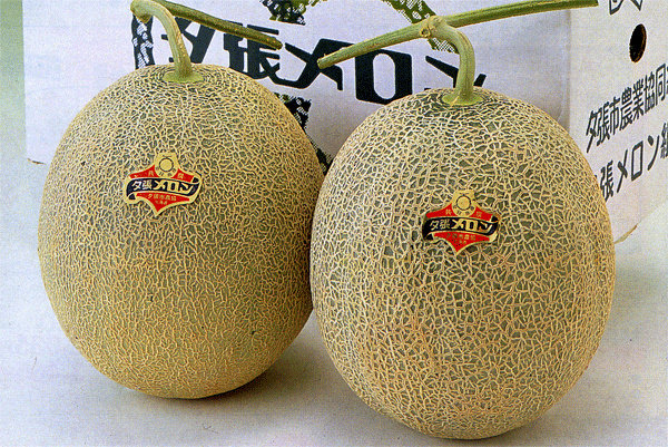 kim cuong, sieu xe hang sang khong la gi voi nhung sieu dac san nay hinh anh 6