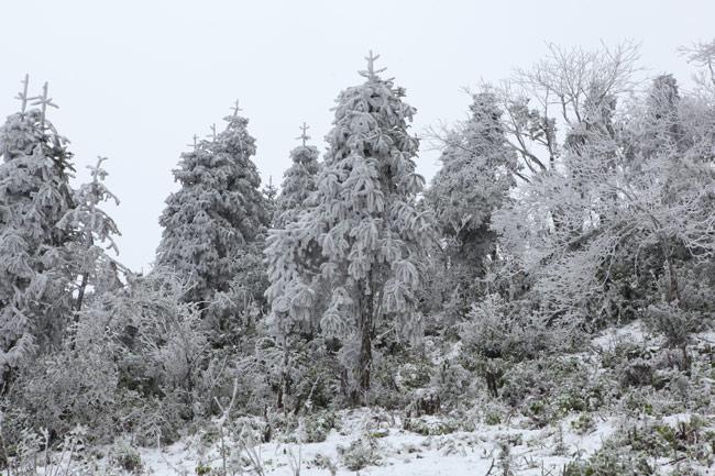 tin khong khi lanh moi nhat: don ret dam nhat tu dau dong, dem mai ha noi duoi 8 do - 1