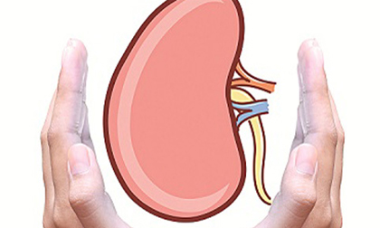 Những loại thực phẩm giúp thận của bạn luôn khỏe mạnh