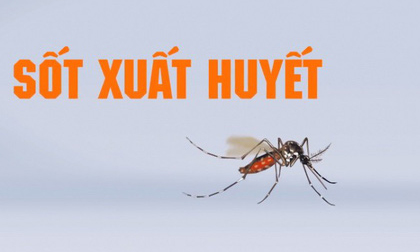 Điểm mặt những dịch bệnh năm 2017 có nhiều diễn biến phức tạp khiến nhiều người một phen hú vía