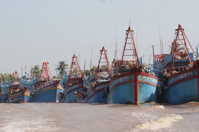 Ben Tre se so tan 20.000 dan tranh bao so 16 - Tembin hinh anh 1
