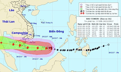 Bão Trâu Mộng áp sát, TP.HCM đang di dời 5.000 dân