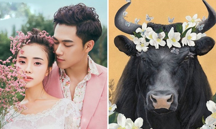 Tu vạn kiếp mới lấy được vợ thuộc con giáp này nghèo mấy cũng giàu nhanh chóng ngày càng nhiều tiền