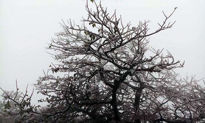 Thời tiết 10/1: Hà Nội rét nhất 2 năm, núi cao nguy cơ có tuyết
