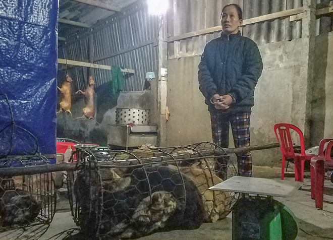 Bat nhom nguoi trom 30 con cho moi dem hinh anh 1
