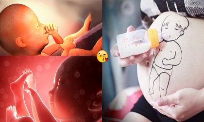 9 cách đơn giản kích thích não thai nhi phát triển, giúp con thông minh vượt trội từ trong bụng mẹ