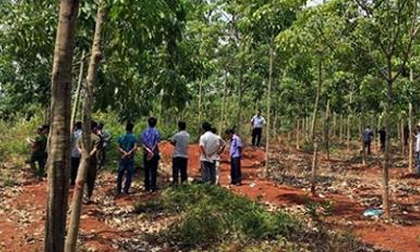 Sát hại người tình trong vườn cao su rồi giấu xác phi tang